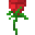 Rose Plant.png
